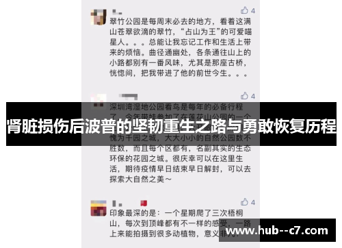 肾脏损伤后波普的坚韧重生之路与勇敢恢复历程 肾脏损伤后波普的坚韧重生之路与勇敢恢复历程