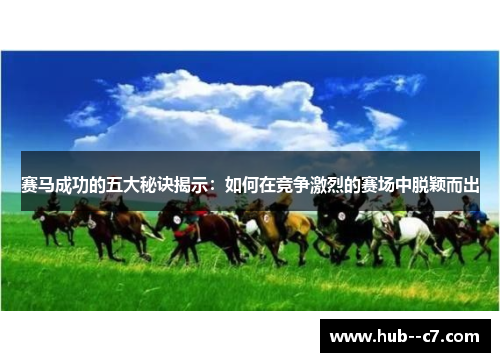 赛马成功的五大秘诀揭示:如何在竞争激烈的赛场中脱颖而出 赛马成功的五大秘诀揭示:如何在竞争激烈的赛场中脱颖而出