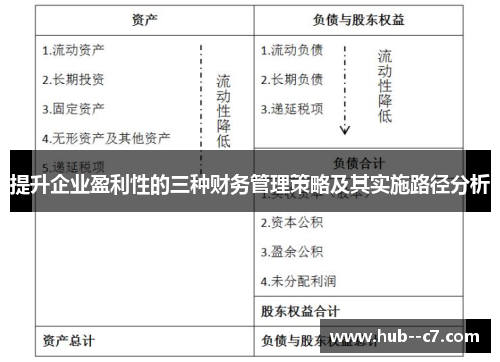 提升企业盈利性的三种财务管理策略及其实施路径分析 提升企业盈利性的三种财务管理策略及其实施路径分析