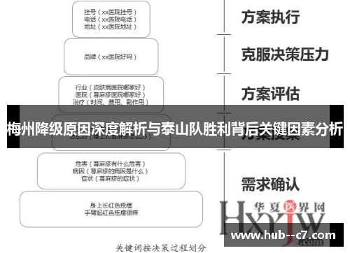 梅州降级原因深度解析与泰山队胜利背后关键因素分析
